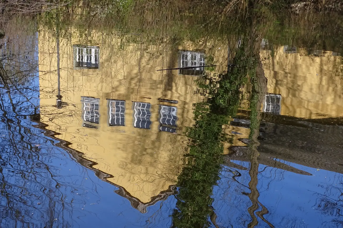 Reflection on the pond