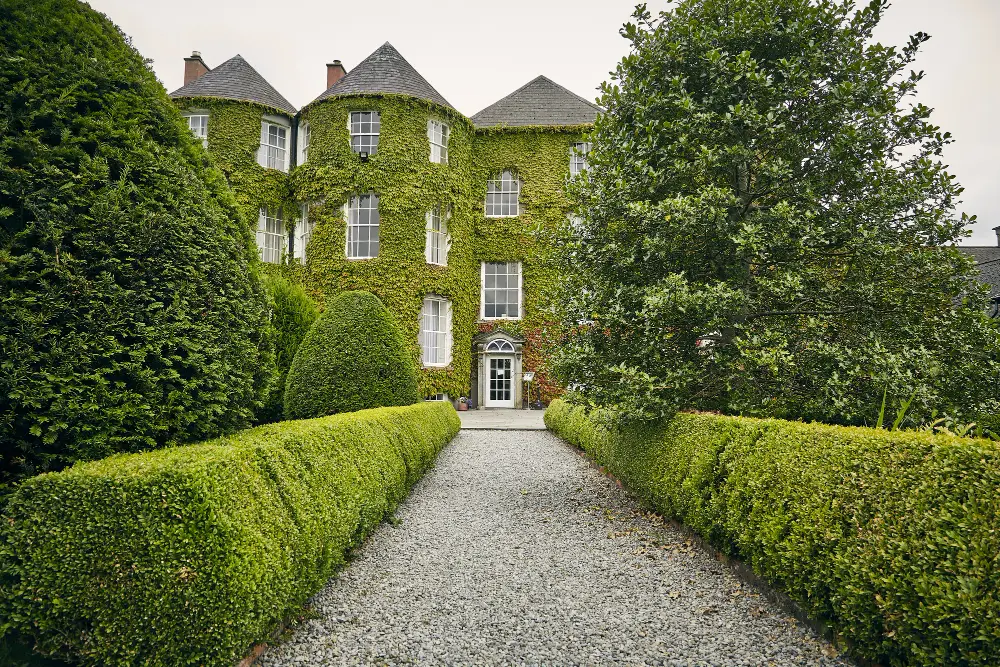 Ivy-covered country house at the end of a hedged drive
